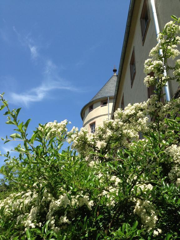 Hotel Ev.Familienferien-Und Bildungsstaette Ebernburg Bad Münster am Stein-Ebernburg Esterno foto