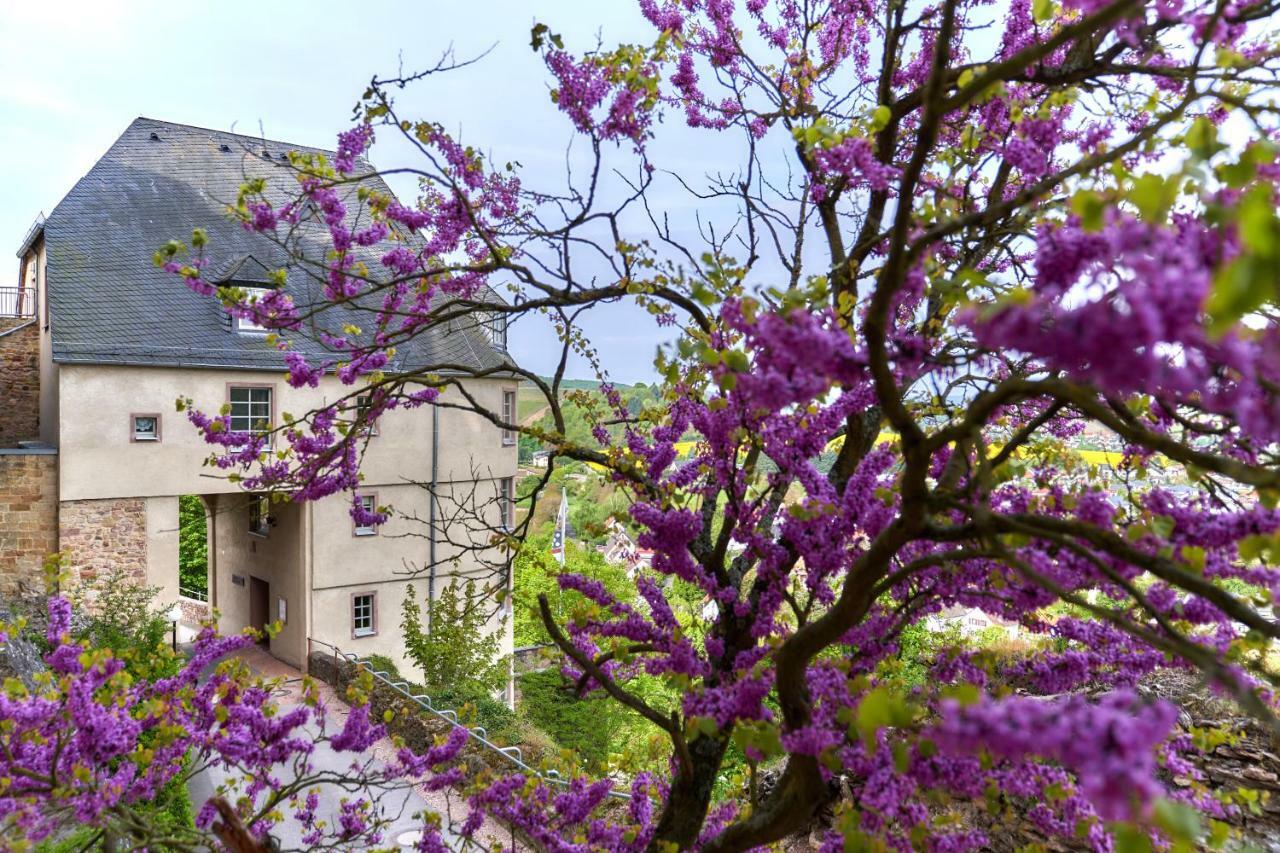Hotel Ev.Familienferien-Und Bildungsstaette Ebernburg Bad Münster am Stein-Ebernburg Esterno foto